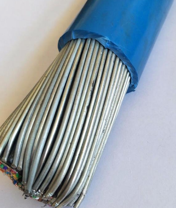 本安計(jì)算機(jī)電纜IA-DJYPVP-32 IA-DJYVP2-32 IA-DJYVP3-32